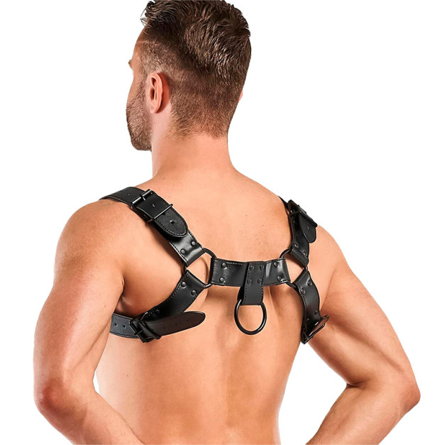 Мужская портупея Bedroom Fantasies Bruno Chest Bulldog Harness