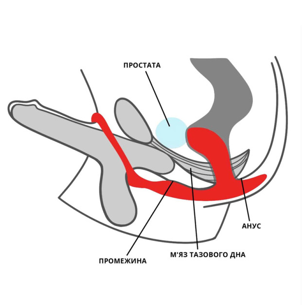 Anal plug with erection ring Fun Factory BOOTIE RING slate