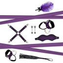 Подарунковий набір для BDSM RIANNE Kinky Me Softly Purple