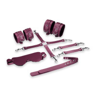 Feral Feelings BDSM Kit 5 Burgundy