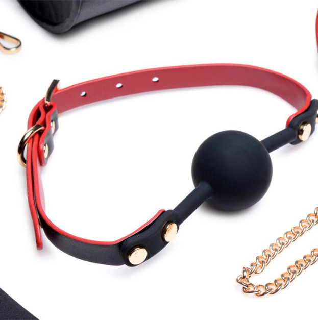 Набір для BDSM Master Series Bow Luxury BDSM Set With Travel Bag