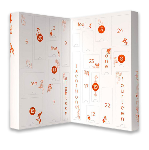 Набор Adrien Lastic Advent Calendar 2022