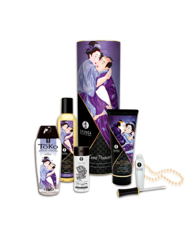 Подарочный набор Shunga Carnal Pleasures