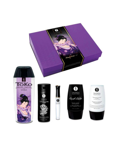 Подарочный набор Shunga Naughtier Kit
