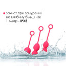 Вагінальні кульки Svakom Nova Plum Red