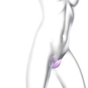 Віброяйце з вакуумною кліторальною стимуляцією Love To Love Wonderlover VIVA MAUVE