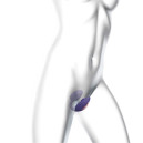 Віброяйце з вакуумною кліторальною стимуляцією Love To Love Wonderlover MIDNIGHT INDIGO