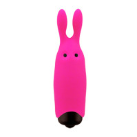 Adrien Lastic Promo Pack Pocket Vibe 25 pcs and testers