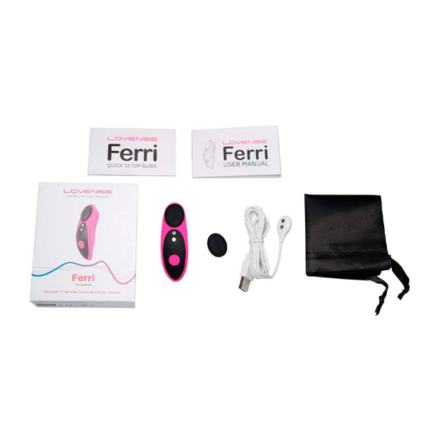 Смарт-вібратор в трусики Lovense Ferri