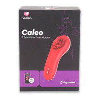 Вибратор в трусики Fun Town Caleo